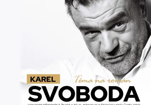 KAREL SVOBODA, TÉMA NA ROMÁN